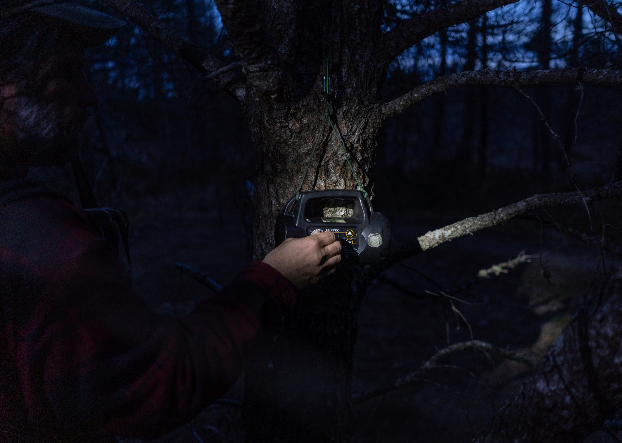 Owl bander Chris Neri turns the volume up on an audio lure playing the call of a Northern Saw-Whet owl while attaching it to a tree near mist nets designed to capture owls to be recorded and banded during their spring migration as the daylights fades while starting his work for the night at the Whitefish Point Bird Observatory in Paradise located in Michigan's Upper Peninsula on Friday, April 21, 2023.