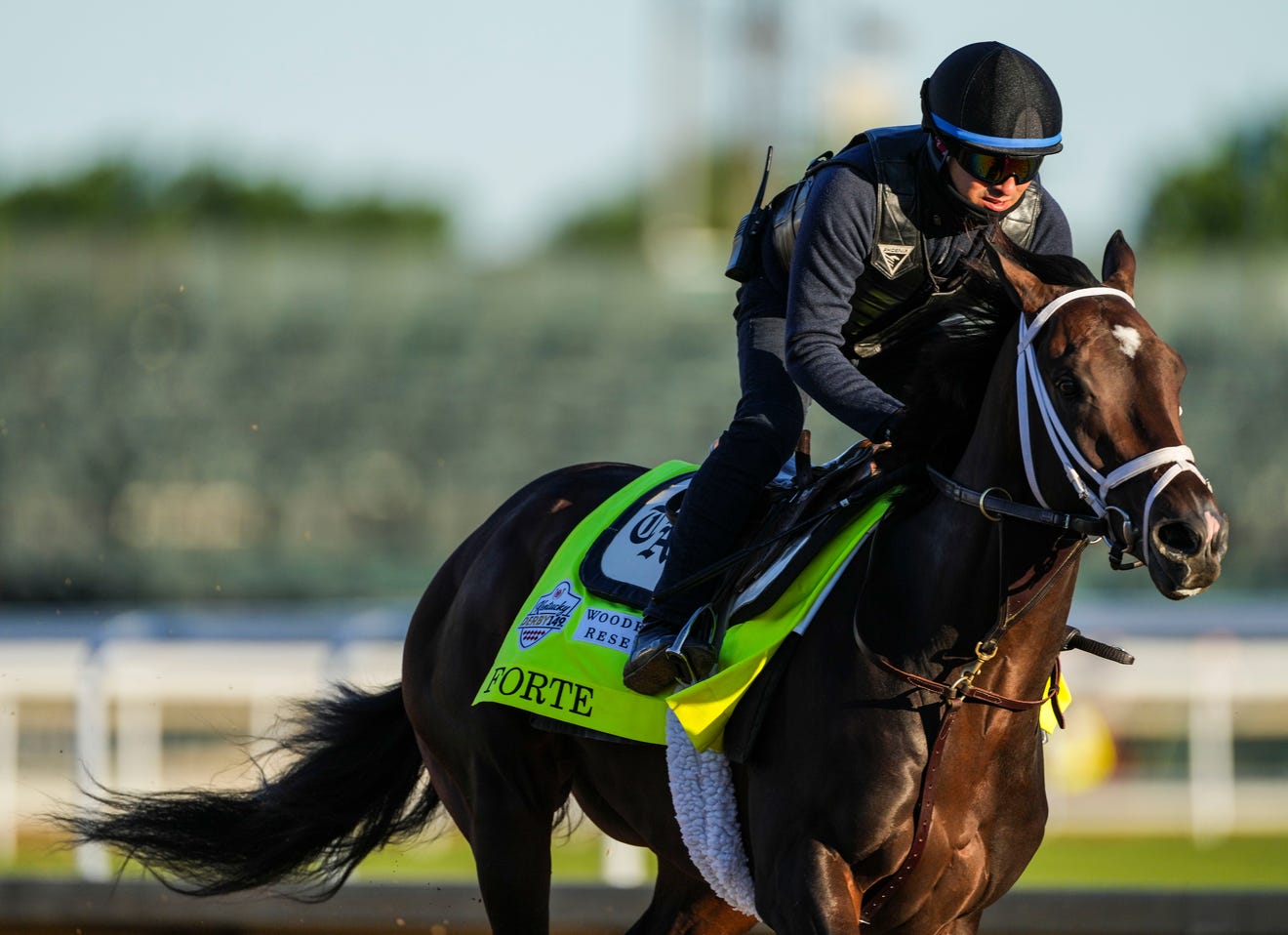 Forte trainer seeking clarity on horse's status for Preakness after Kentucky Derby scratch