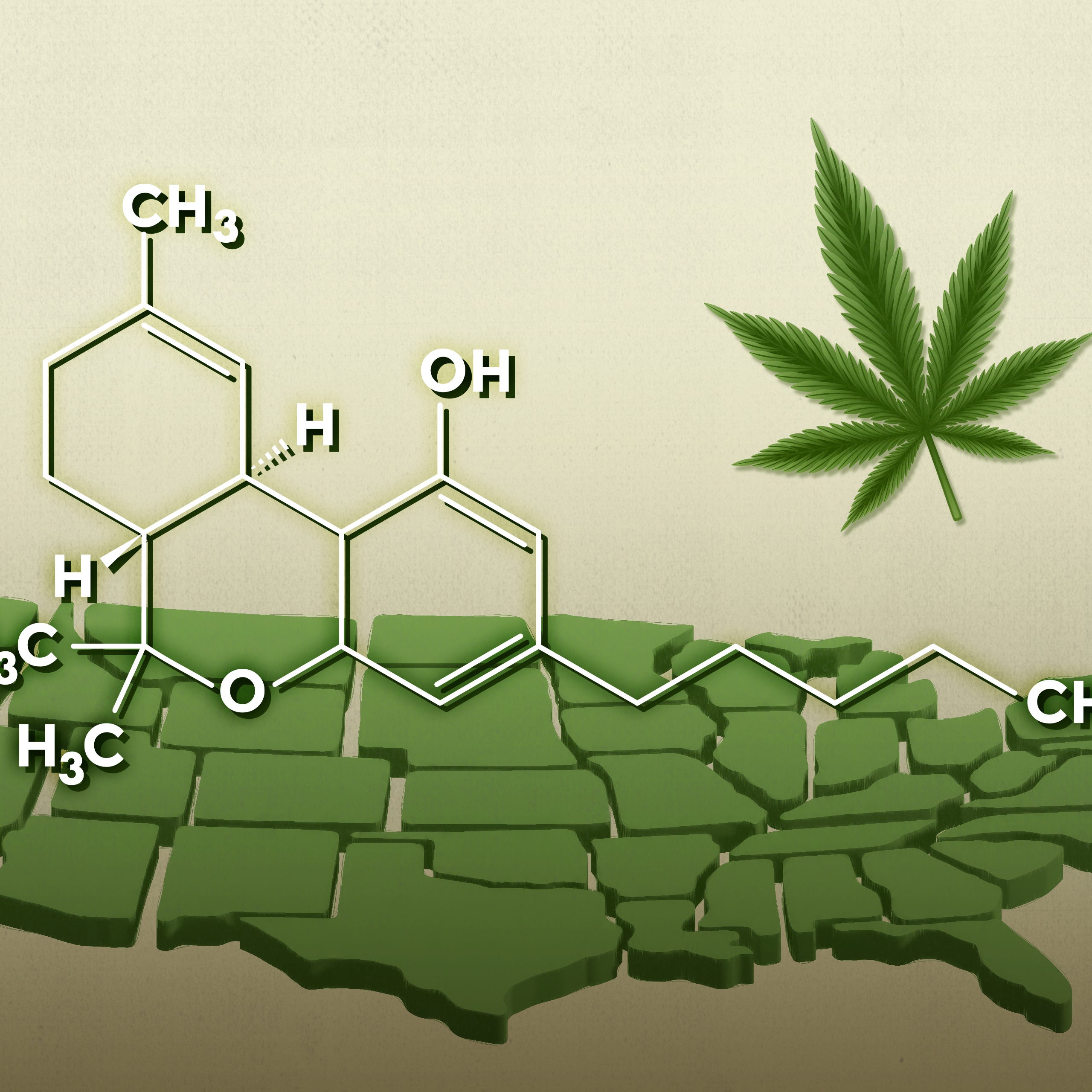 An illustration shows a map of the United States separated into puzzle pieces with the chemical structure diagram of THC and a marijuana leaf overlayed on top of it.