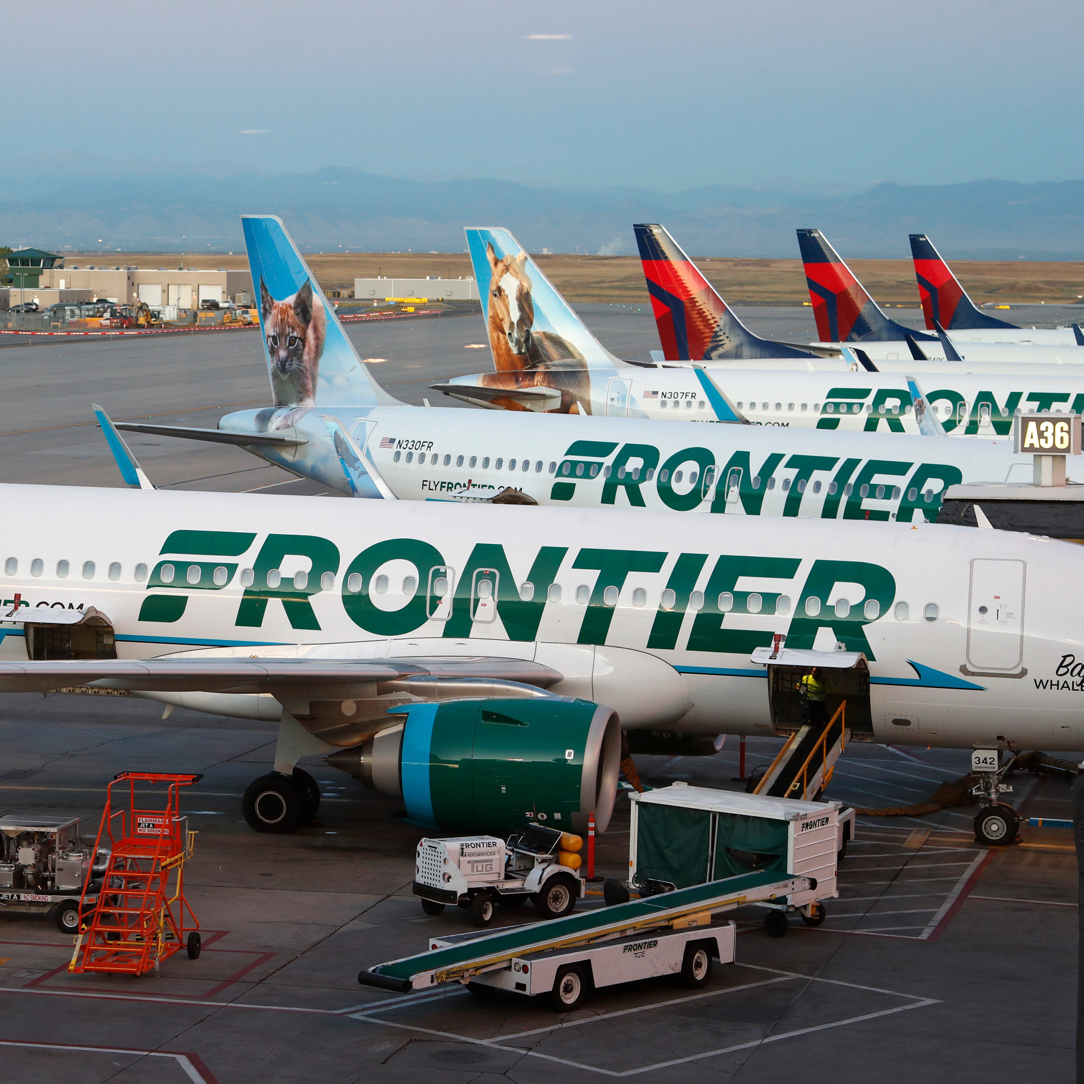 Frontier Airlines jets sit at gates at Denver International Airport on Sept. 22, 2019, in Denver.
