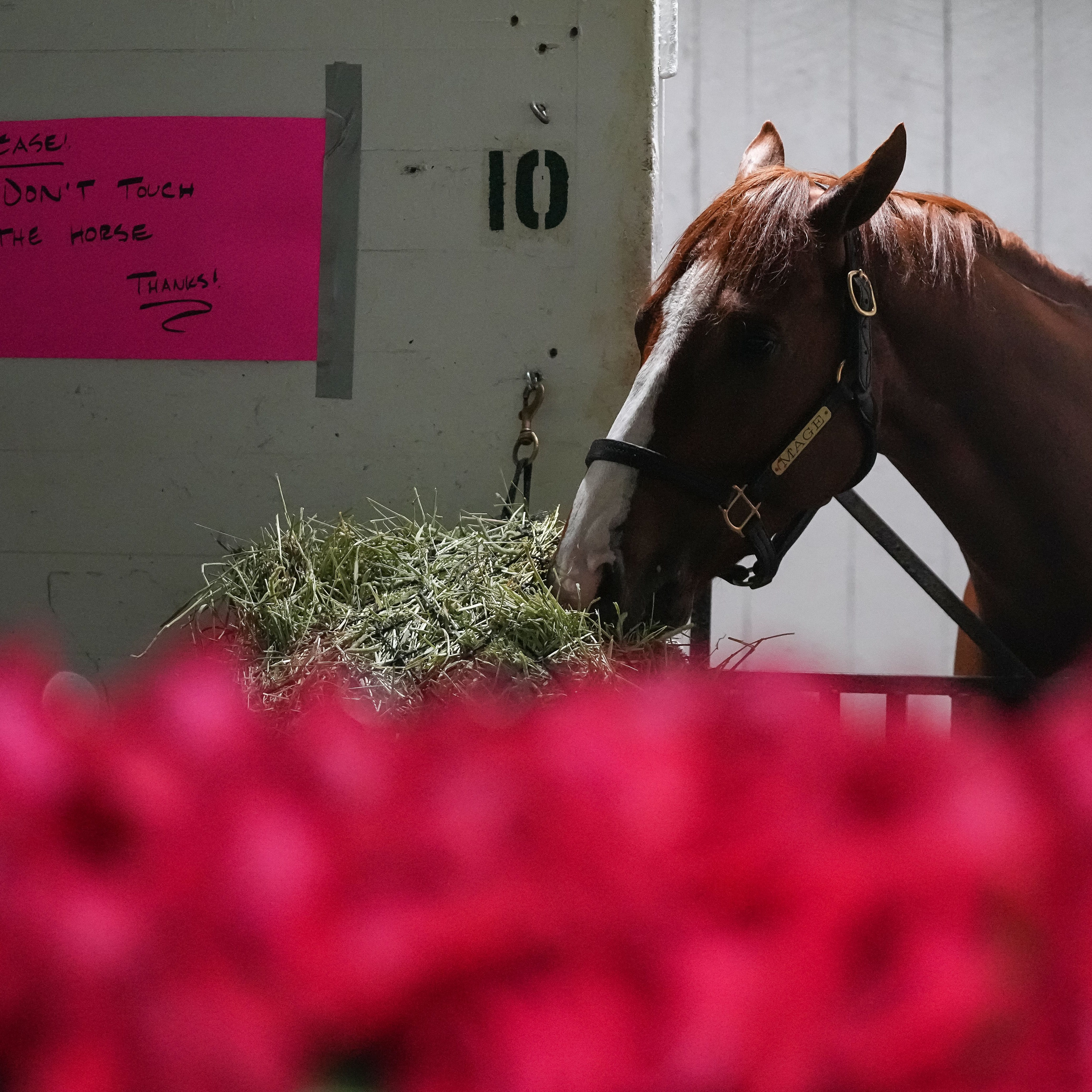The blanket of roses is laid out in front of the stall of Mage on Sunday, May 7, 2023 at Churchill Downs in Louisville. 