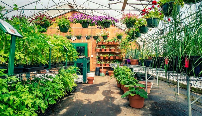 Rose Hill Flower Sale is this weekend.
