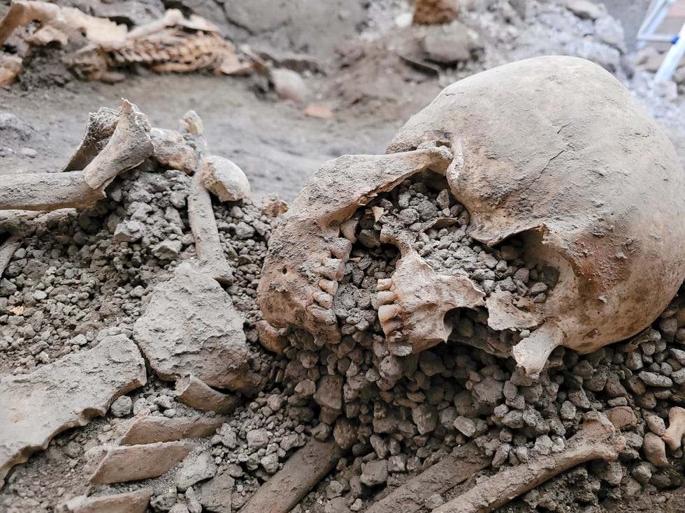 Een afbeelding van dinsdag 16 mei 2023 door het persbureau van het Archeologisch Park van Pompeii, toont een van de opgegraven skeletten waarvan archeologen denken dat het mannen zijn die stierven toen een muur op hen instortte tijdens de krachtige aardbevingen die gepaard gingen met de uitbarsting van de Vesuvius.  Ze vernietigden de oude stad Pompeii in 79 na Christus.  De twee skeletten werden gevonden op het eiland Casti Amante, onder een muur die instortte voordat het gebied bedekt was met vulkanisch materiaal.