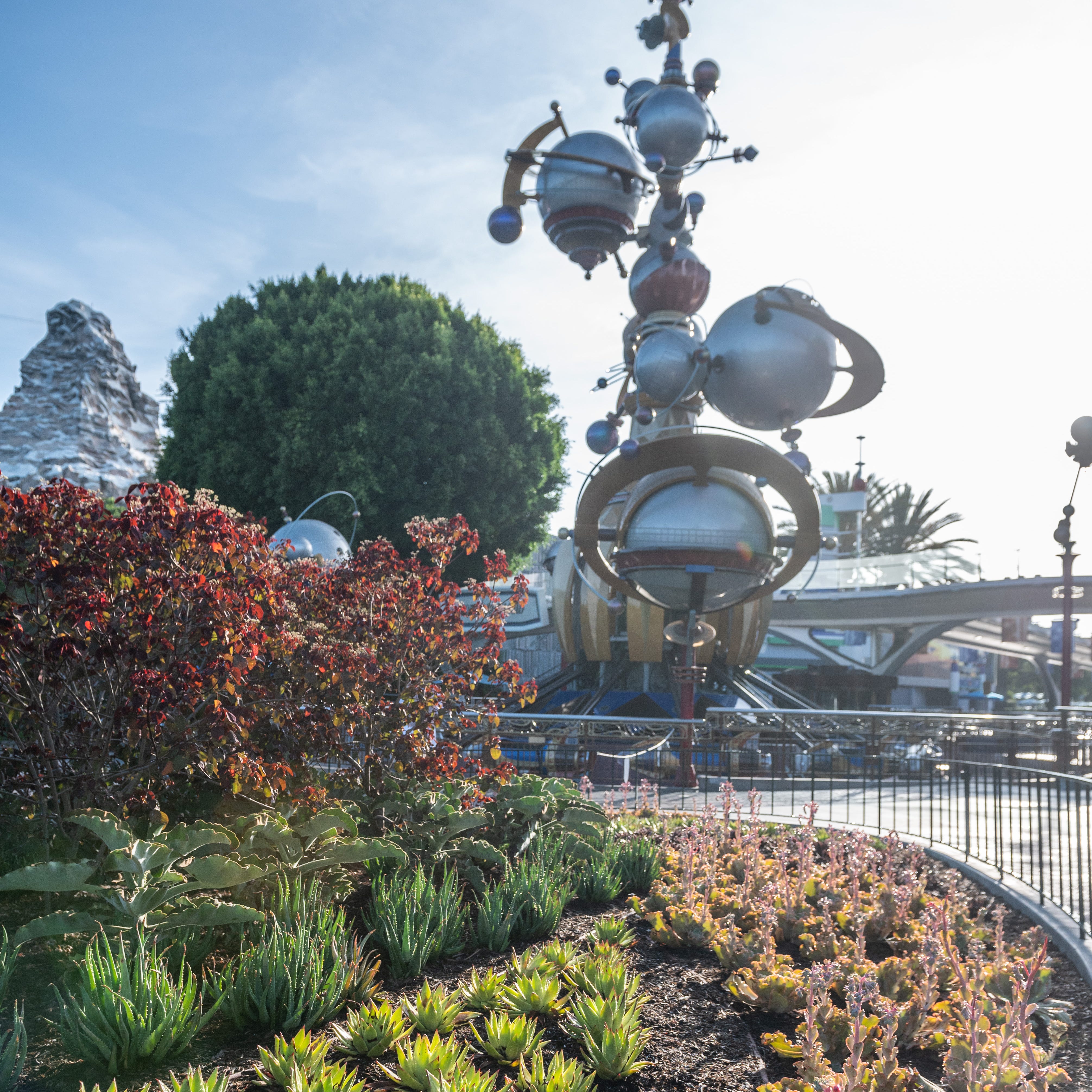 Disneyland uses drought-tolerant plants in many places and carefully monitors irrigation throughout the California resort.
