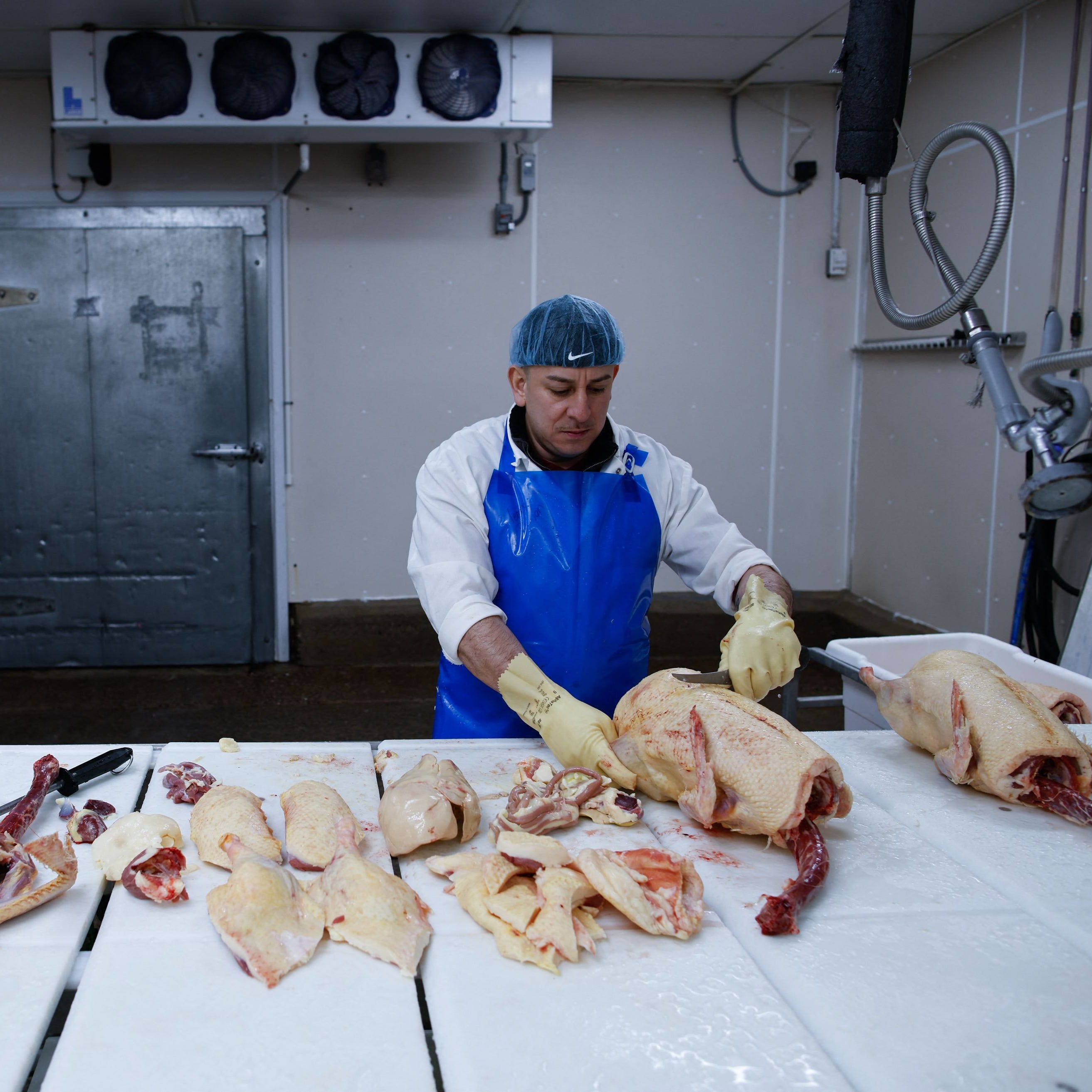 An employee processes duck at Hudson Valley Foie Gras, in Ferndale, New York, on March 3, 2023.