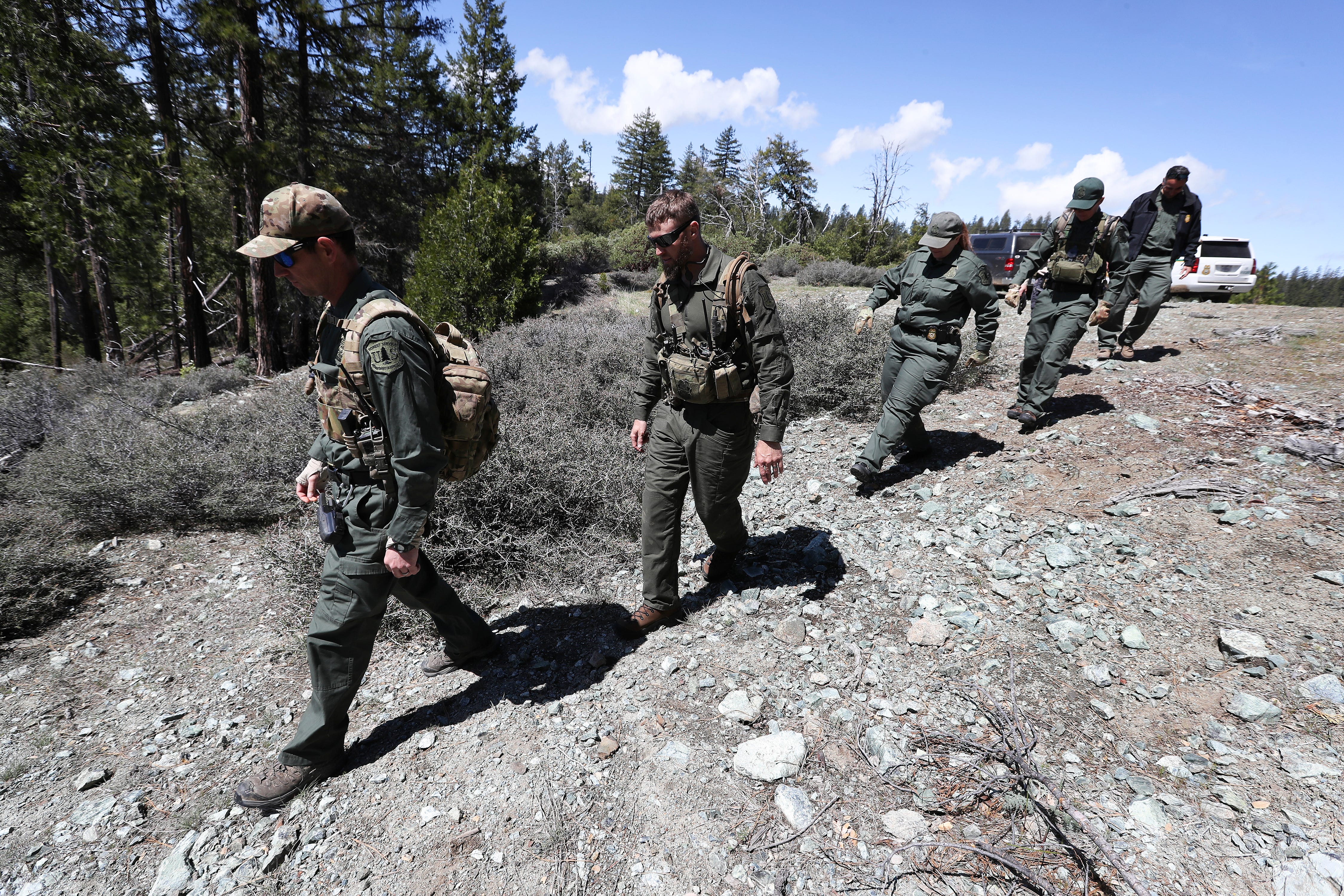 Tyler Bolen, left, and Logan Brown, of the United States Forest Service, lead other officials into an illegal marijuana grow site in Shasta-Trinity National Forest in Trinity County, Calif. on May 10, 2023.