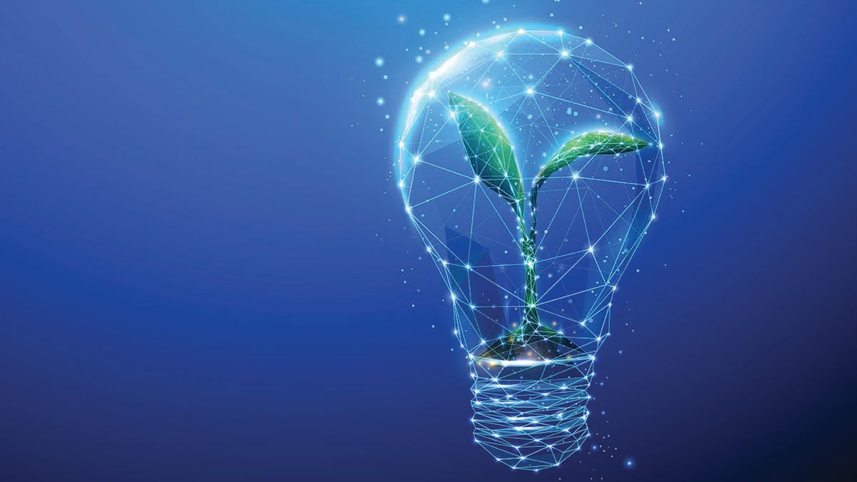 Climate change calls for cuts in carbon emissions. These US companies are leading the way.