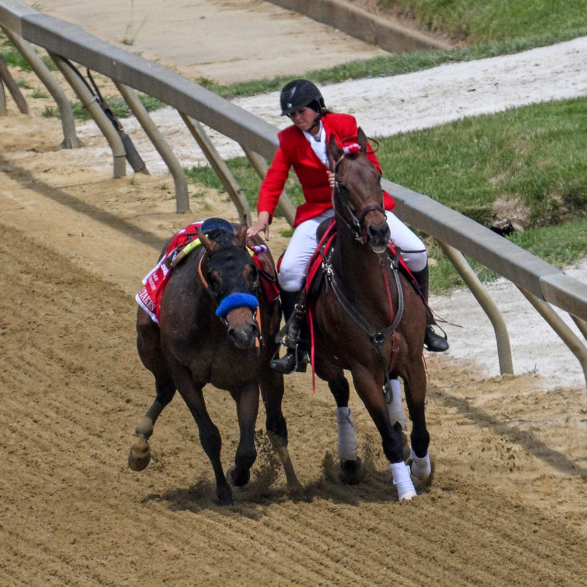 An outrider intercepts Havnameltdown after the horse lost it's rider and suffered a catastrophic leg injury during the sixth race prior to the 148th running of the Preakness Stakes horse race at Pimlico Race Course, Saturday, May 20, 2023, in Baltimore. The Bob Baffert trained horse was euthanized on the race track. (Jerry Jackson/The Baltimore Sun via AP) ORG XMIT: MDBAE201