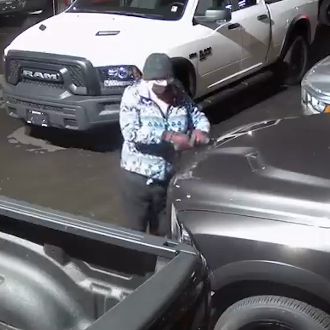 A Canadian woman keyed more than 400 vehicles at dealerships in Port Coquitlam, Canada.