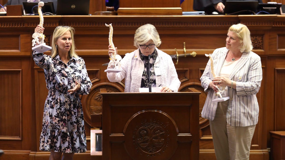 South Carolinas only women senators to resist new abortion restrictions up for debate South Carolinas only women senators to resist new abortion restrictions up for debate
