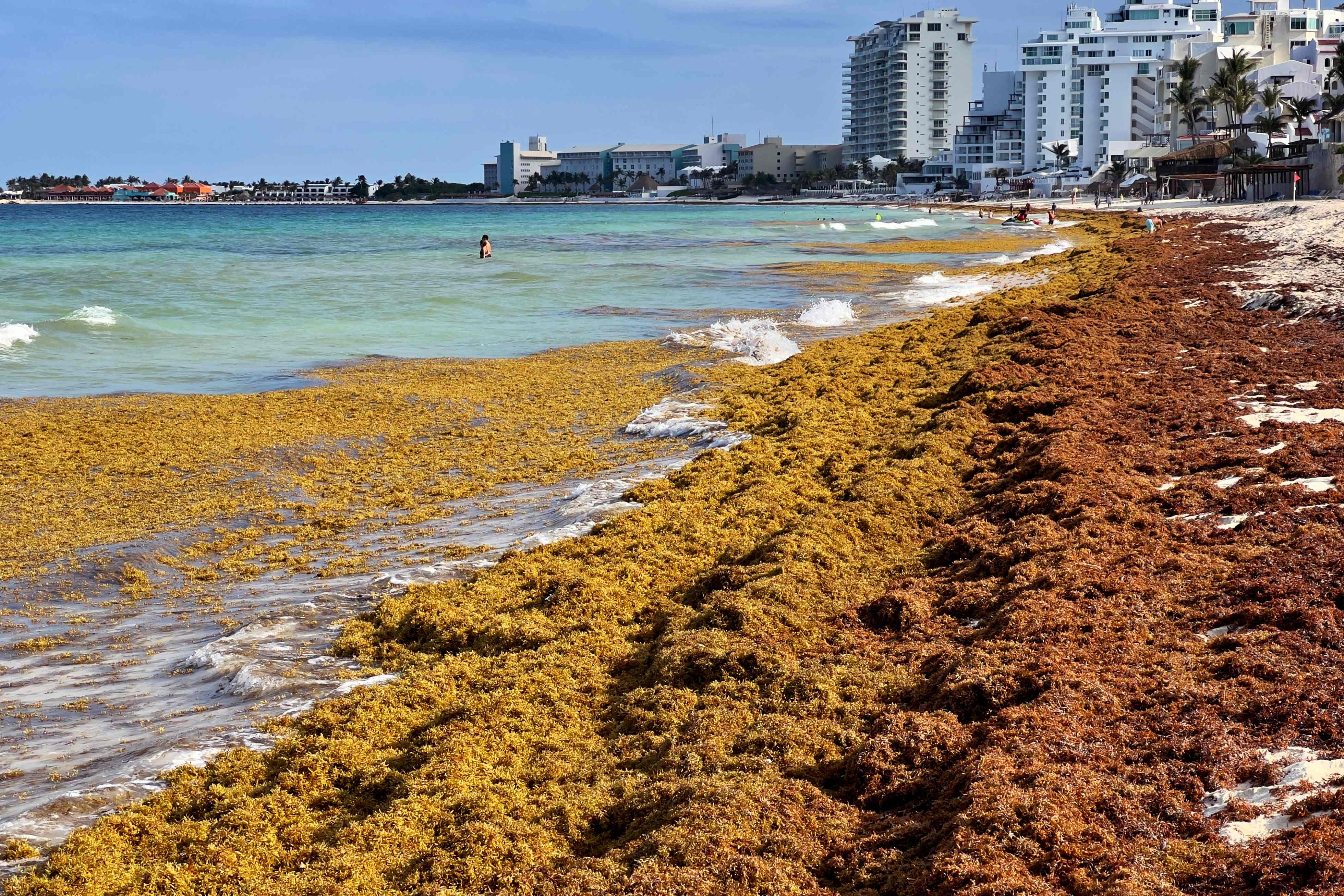 May 23, 2023: Sargassum algae piles up along the shore at a beach in Cancun, Quintana Roo State, Mexico.