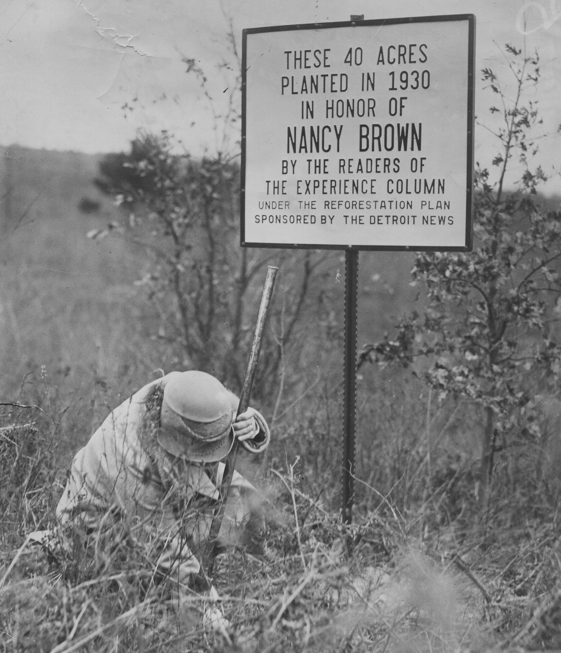 Detroit News columnist Nancy Brown is shown planting trees in northern Michigan in 1930.
