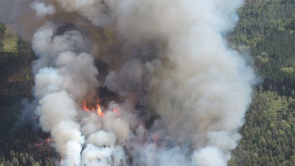 Crews contain wildfire near Manton in Michigan as DNR warns forests 'ready to burn'