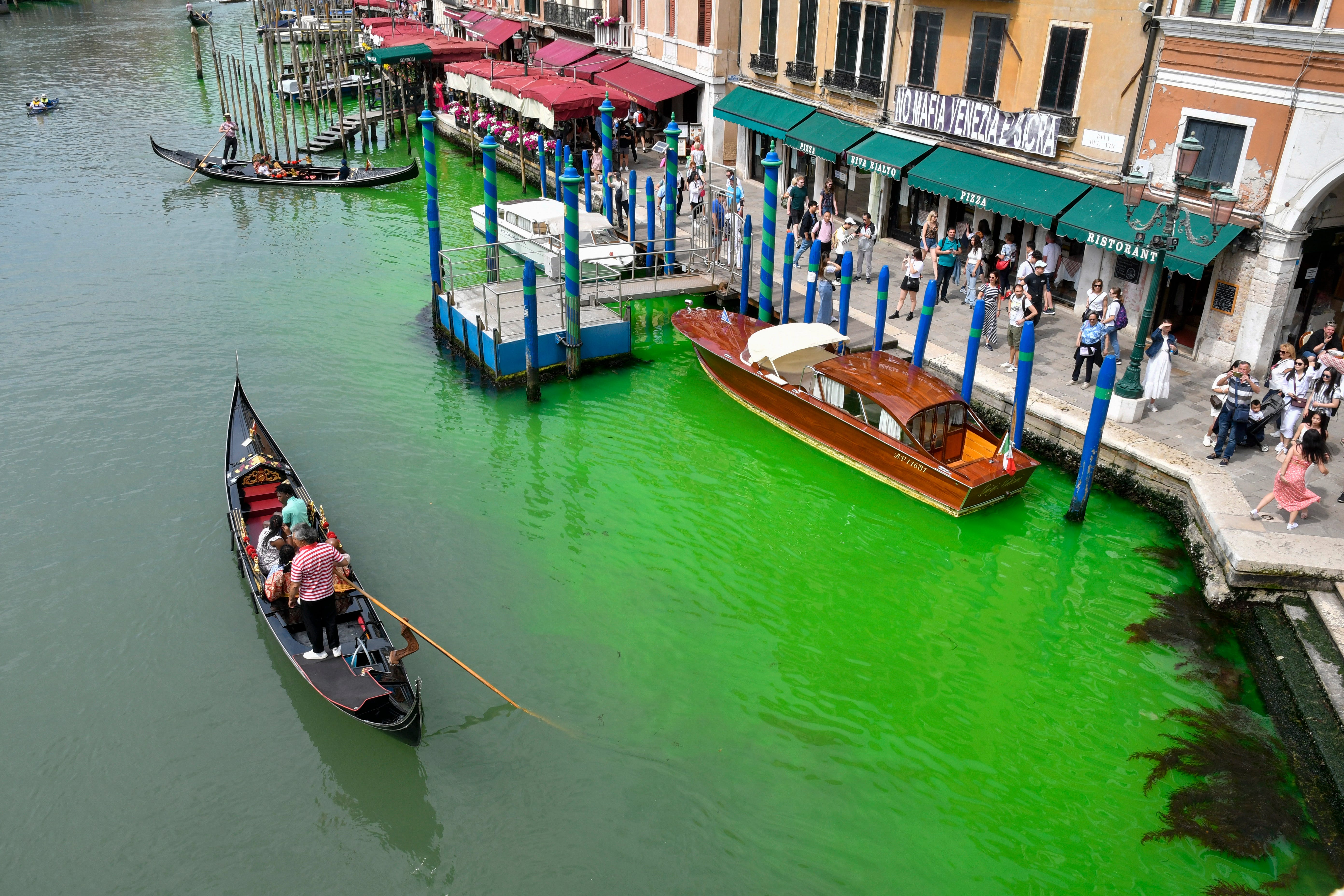 What turned Venice's Grand Canal green over the weekend? Authorities identify substance