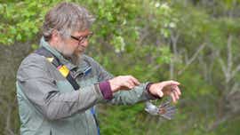 Small birds, big science: What we can learn from bird banding