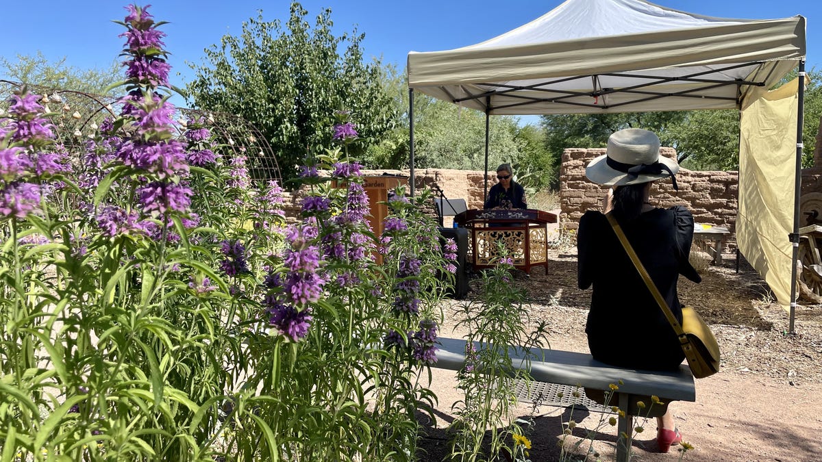 How Chinese heirloom seeds can lead to climateadapted food for future gardeners How Chinese heirloom seeds can lead to climateadapted food for future gardeners