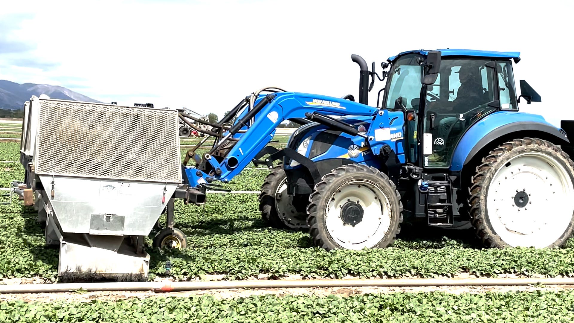 Robots are coming to American farms as farmworkers become more scarce
