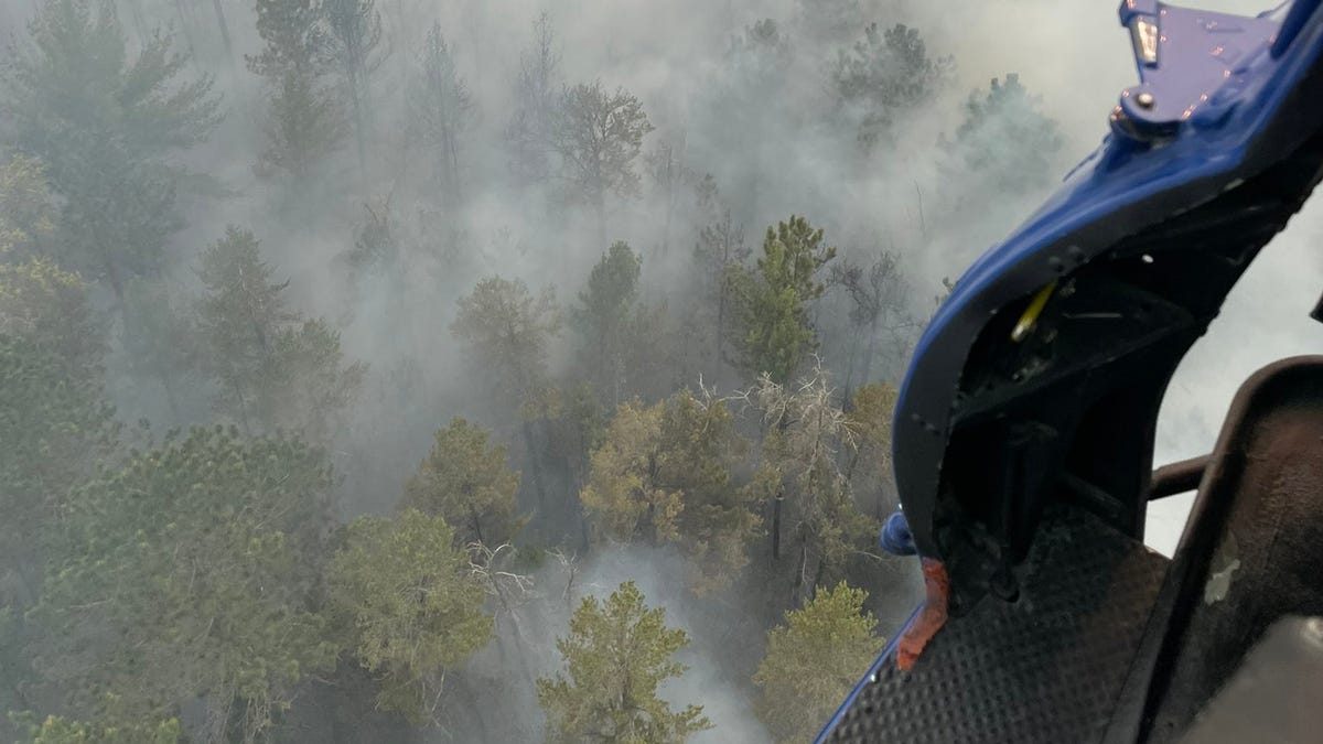 Wildfire near Grayling Michigan now estimated at 2400 acres  USA TODAY Wildfire near Grayling Michigan now estimated at 2400 acres  USA TODAY