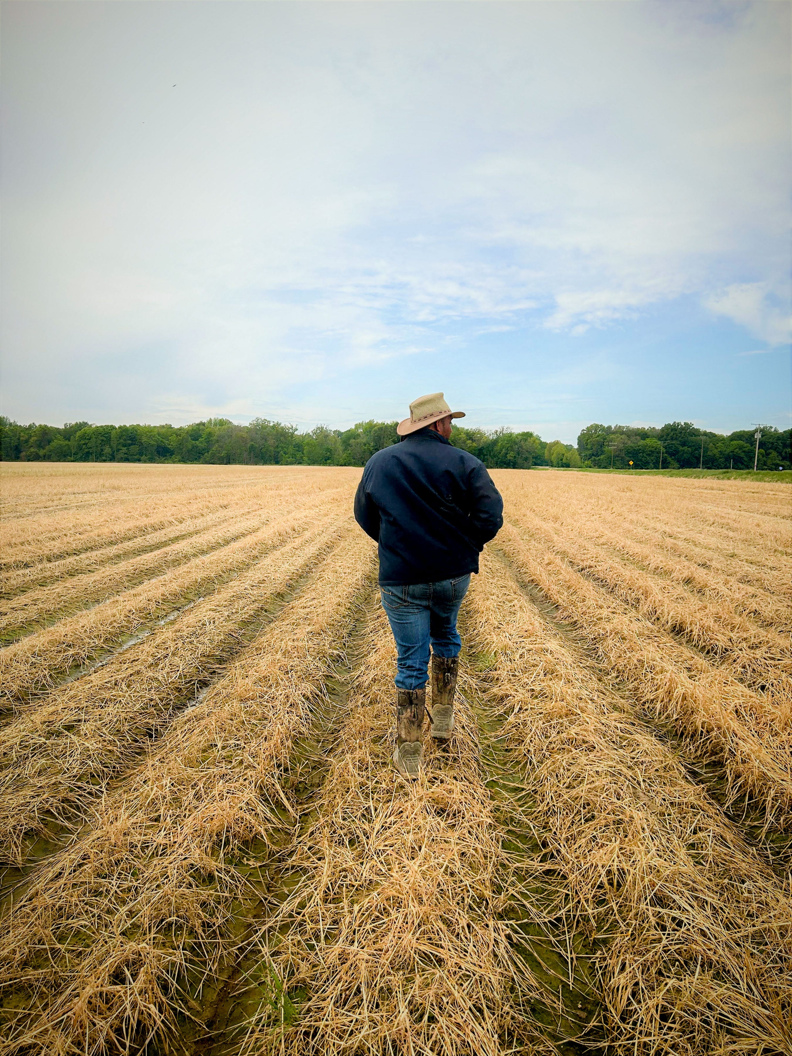 PJ Haynie surveys one of his rice fields on April 25, 2023. 

Haynie is a fifth-generation row crop farmer with land in Virginia and in Arkansas, which is where he grows his rice. He also co-owns a rice mill in Arkansas, helping to add value to one of the state's most important crops.