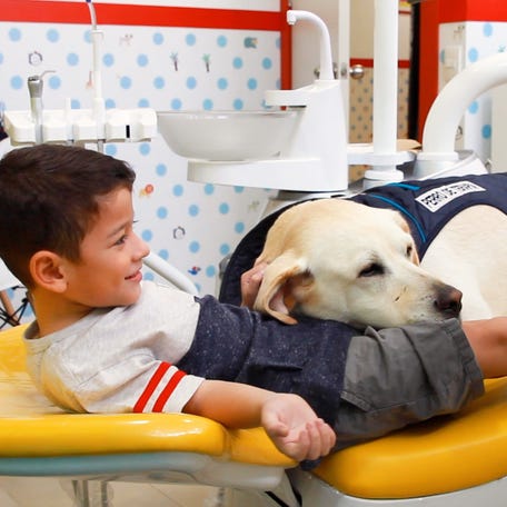 Aldo, the trained emotional assistant dog, helps reduce stress and anxiety for kids while they get their dental work done at Parque Dental in Ecuador.