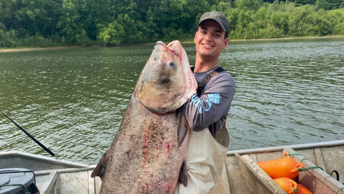 109-pound bighead carp caught in Illinois River backwaters - USA TODAY
