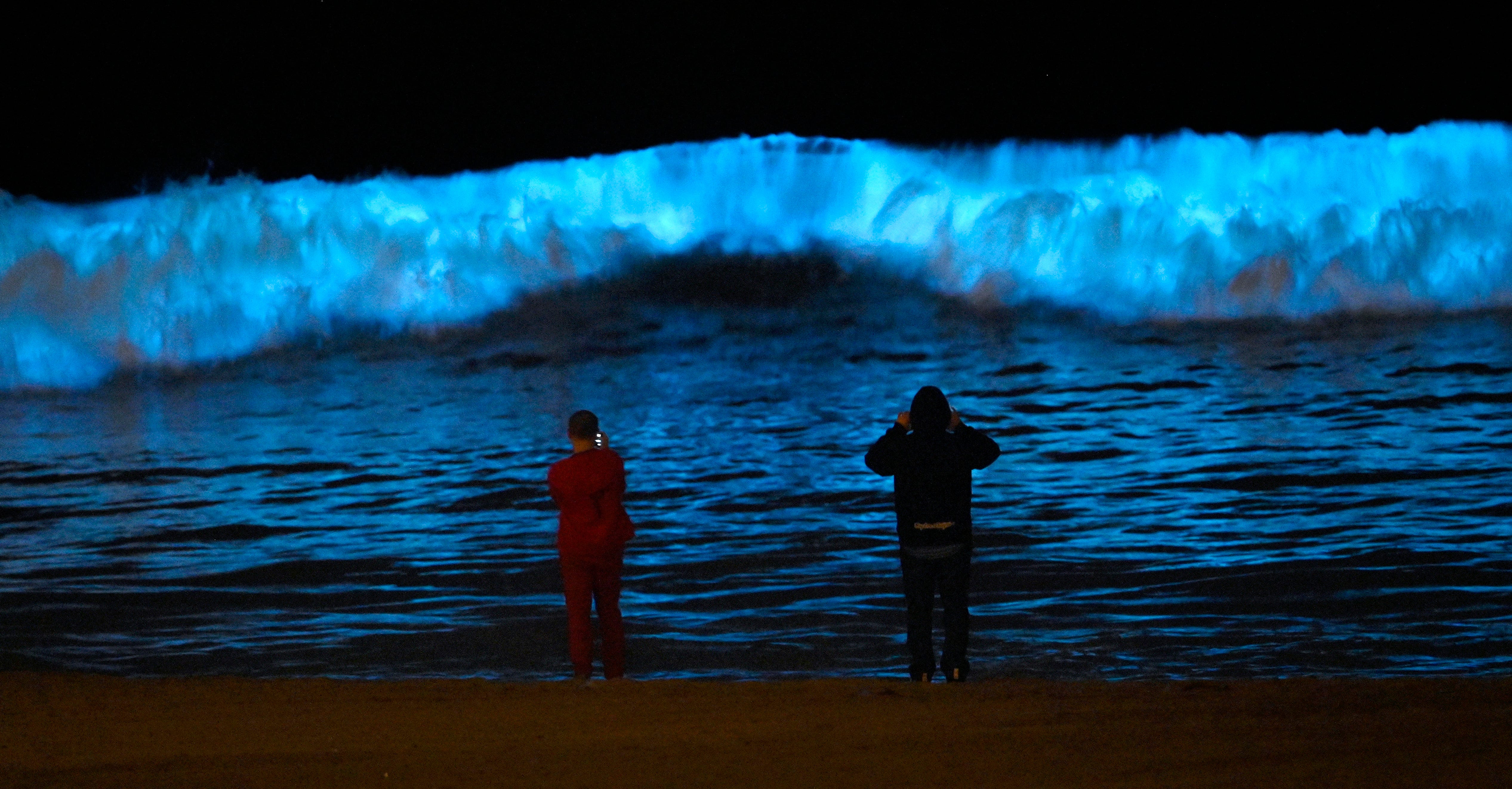 Вода gorji. Биолюминесцентный планктон. Биолюминесцентные волны на пляже в Калифорнии.. Светящиеся волны. Ночное купание.