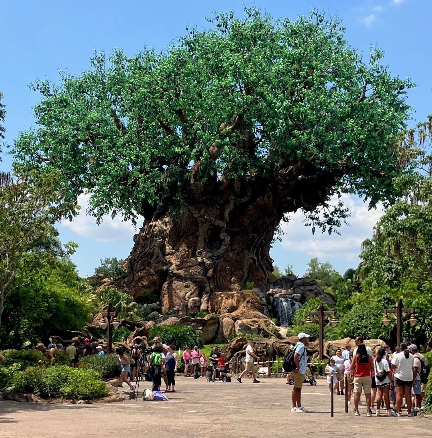 The Tree of Life is a popular hub at Animal Kingdom and houses in its base the 3D movie, "It's Tough to be a Bug."