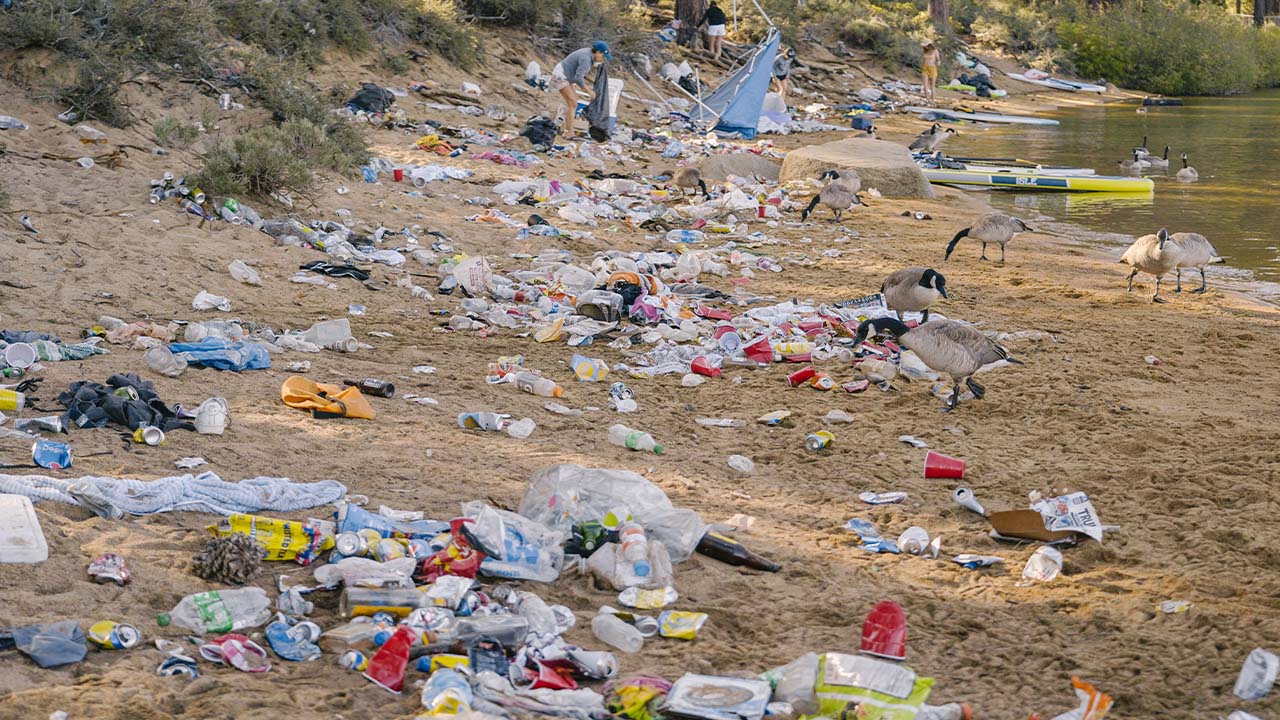 'Like a landfill' More than 4 tons of trash collected after July