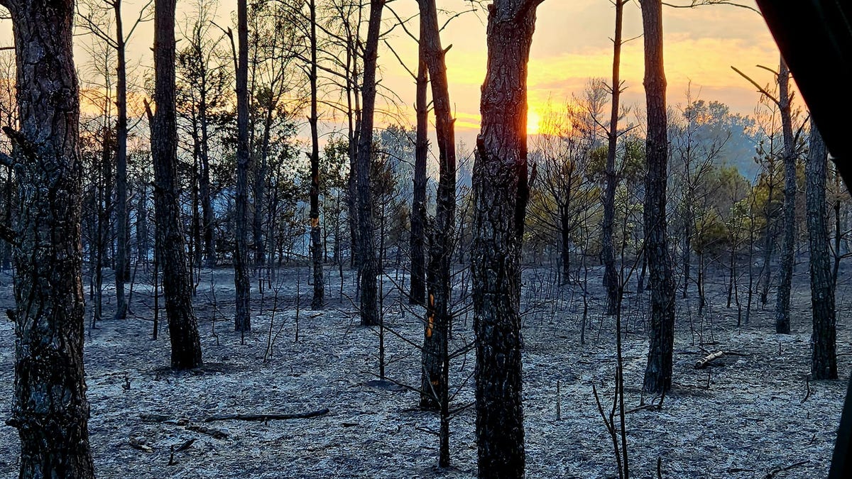 Wisconsin’s wildfire season is beginning fast, with risk above normal