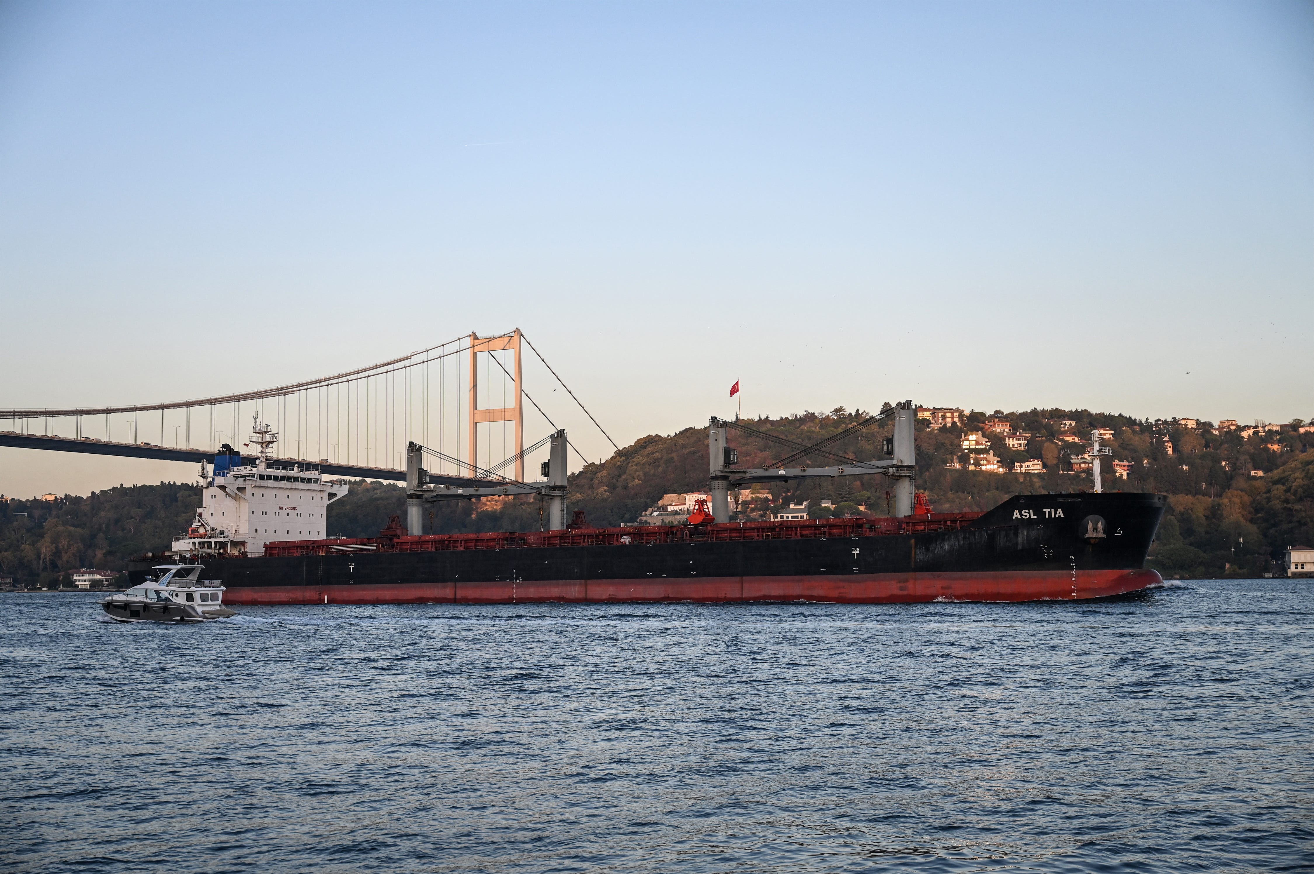 Asl Tia, a cargo vessel carrying Ukrainian grain, sails under Fatih Mehmet Sultan bridge on Bosphorus to Marmara sea, in Istanbul, on Nov. 2, 2022.