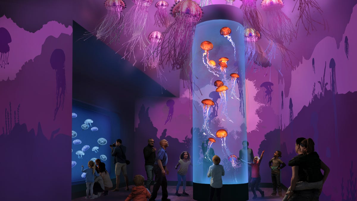 SeaWorld Parks inaugura novos brinquedos e atrações: veja as novidades SeaWorld Parks inaugura novos brinquedos e atrações: veja as novidades