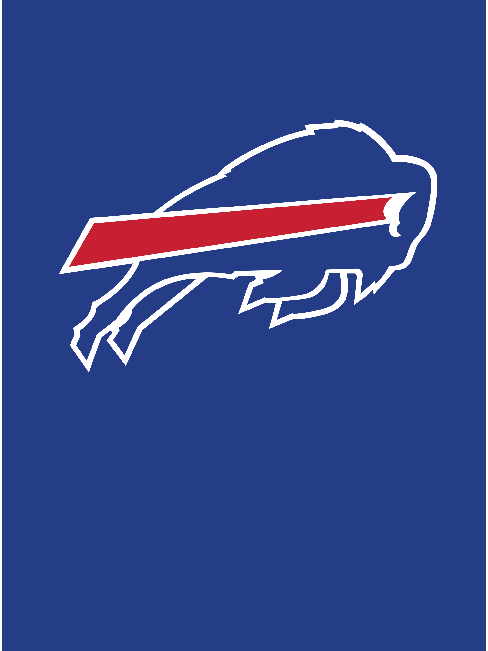Photo of Buffalo Bills