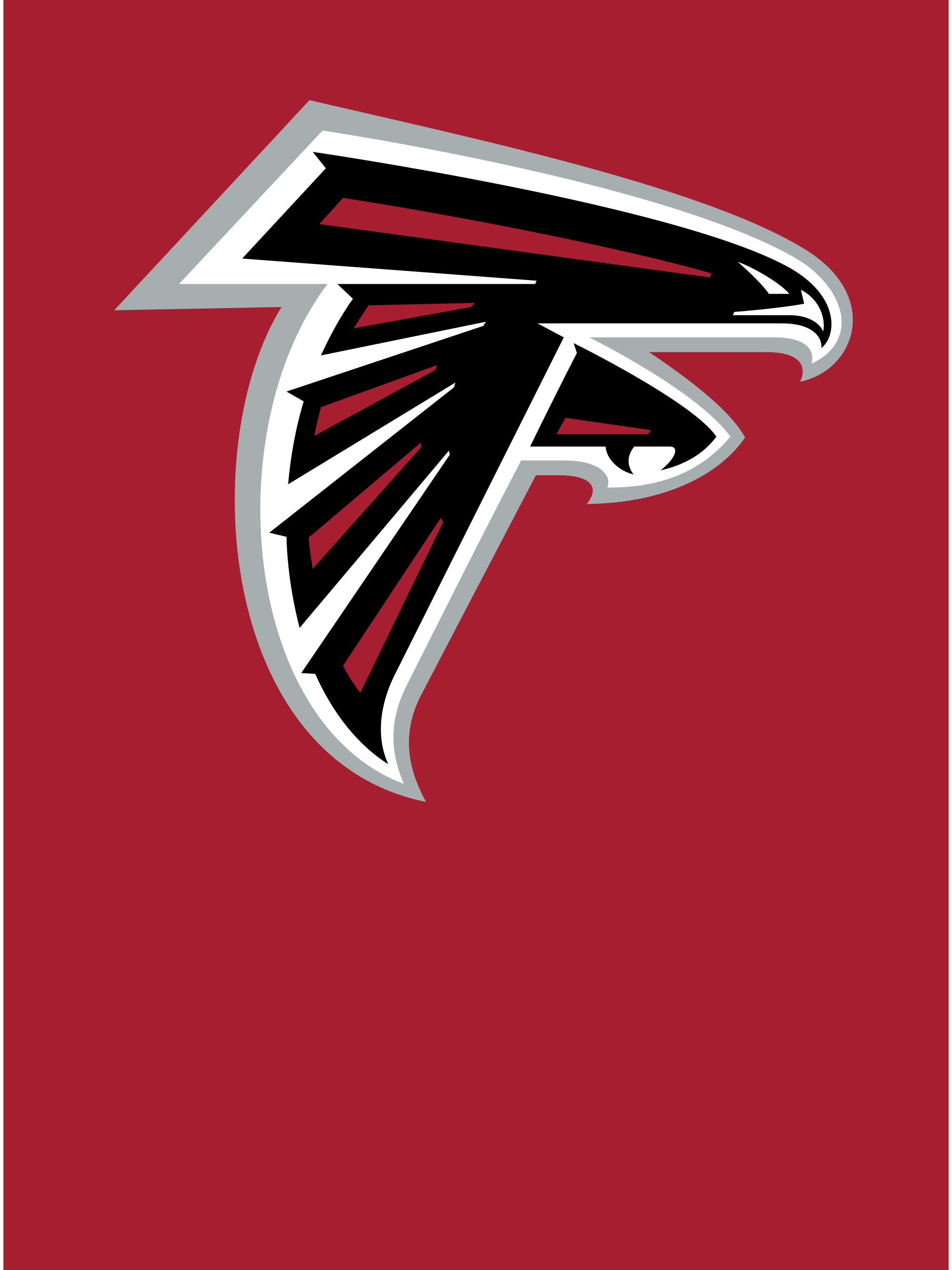 Photo of Atlanta Falcons