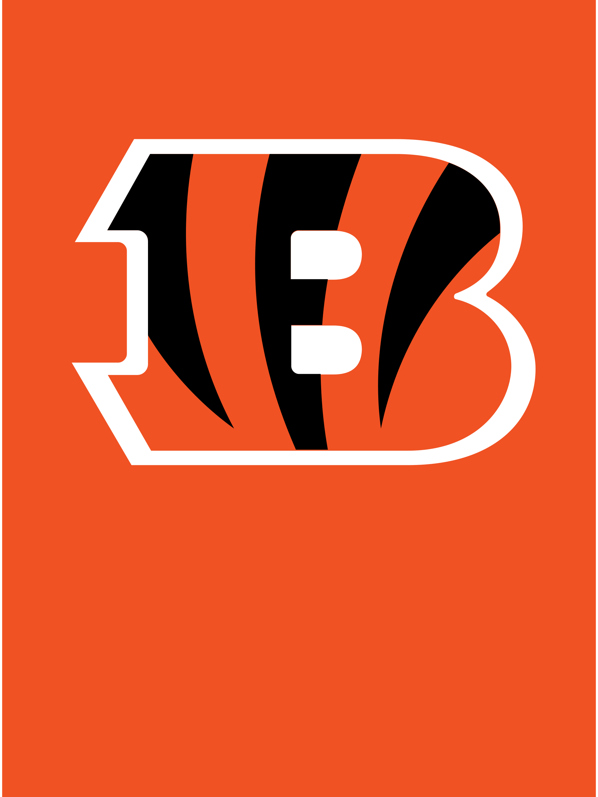 Photo of Cincinnati Bengals