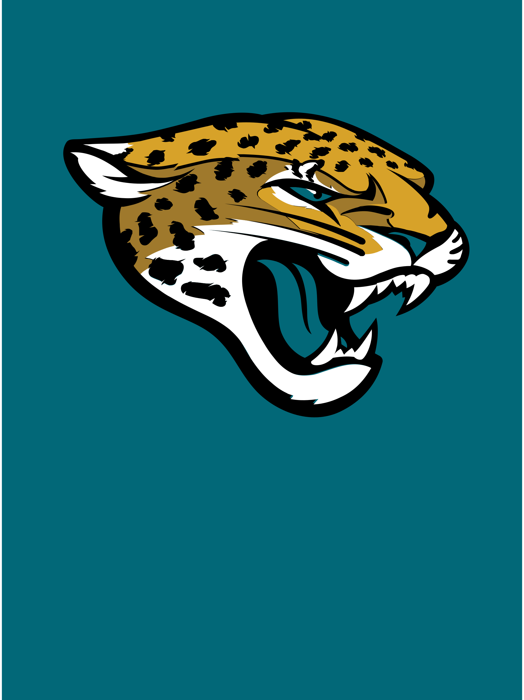 Photo of Jacksonville Jaguars
