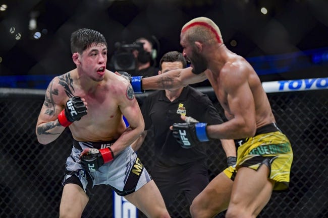 UFC 283 Picks – Deiveson Figueiredo vs Brandon Moreno Prediction